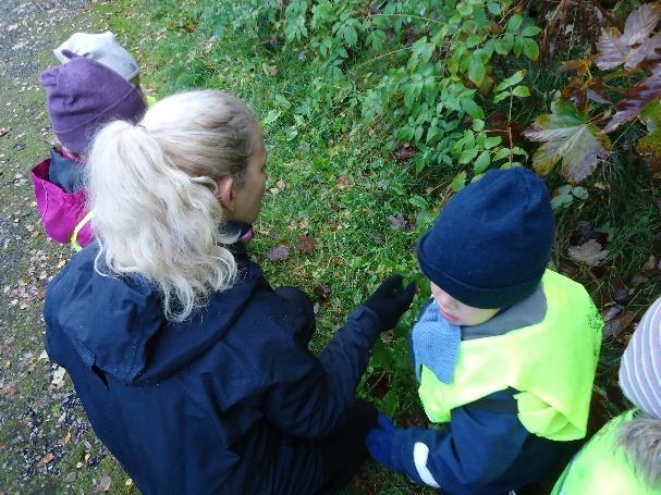 Tur. Vi har vært på flere turer og opplevd høsten. Barna har samlet inn naturmateriell som vi skal bruke i formingsaktiviteter.