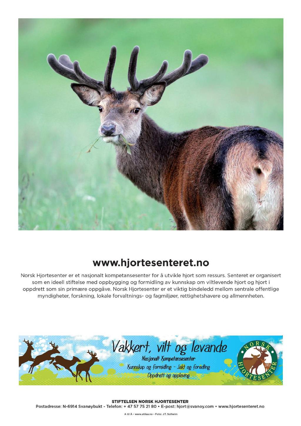 www.hjortesenteret.no Norsk Hjortesenter er et nasjonalt kompetansesenter for å utvikle hjort som ressurs.