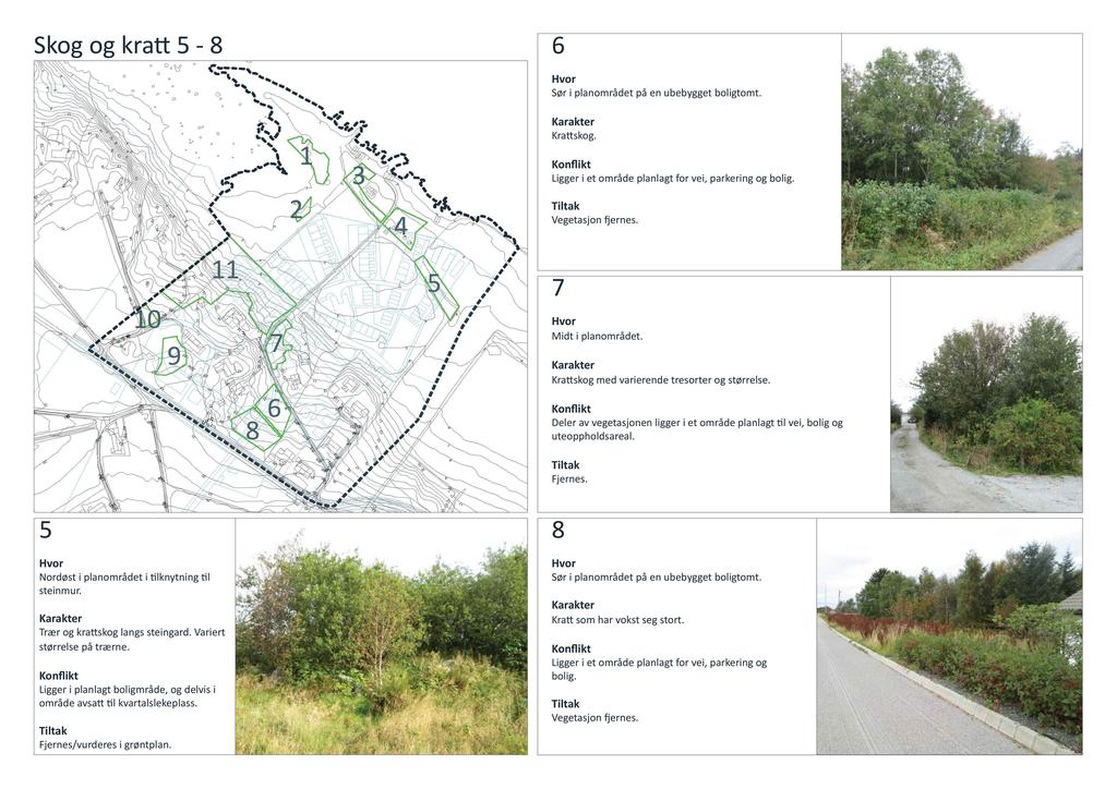 Skogog kra - Søri planområdetpå en ubebyggetboligtomt. Kra skog. Liggeri et områdeplanlagtfor vei, parkeringog bolig. Vegetasjon ernes. Fjernes.