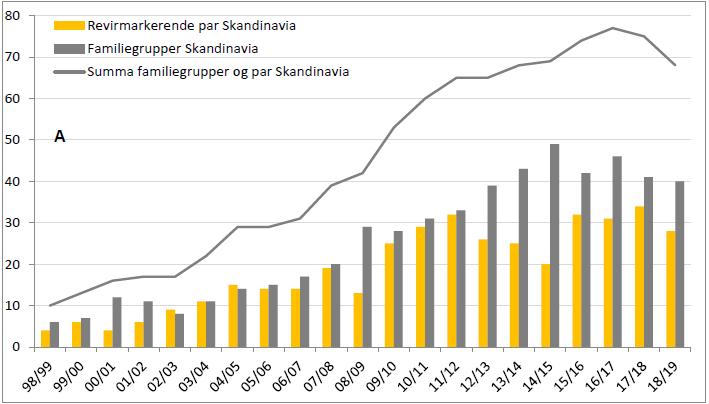 Figur 2: Antall dokumenterte familiegrupper (grå søyler) og revirmarkerende par (oransje søyler) og totalt i Skandinavia (grå graf) for hele registreringsperioden 1. oktober 31.