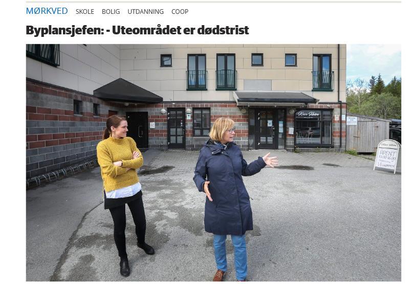 Kort oppsummert Området