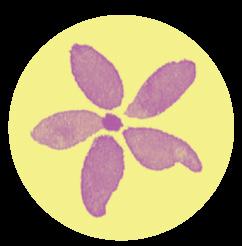 CM_Tiny_Flower_Purple_Full_