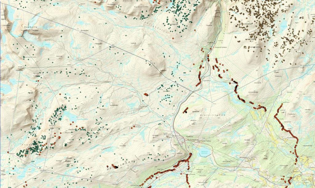 Kart 2: Oversikt over samtlige GPS-data som er samlet i forbindelse med fokusområdet rundt Snøheim, skytefeltet og Stroplsjødalen i april-mai.