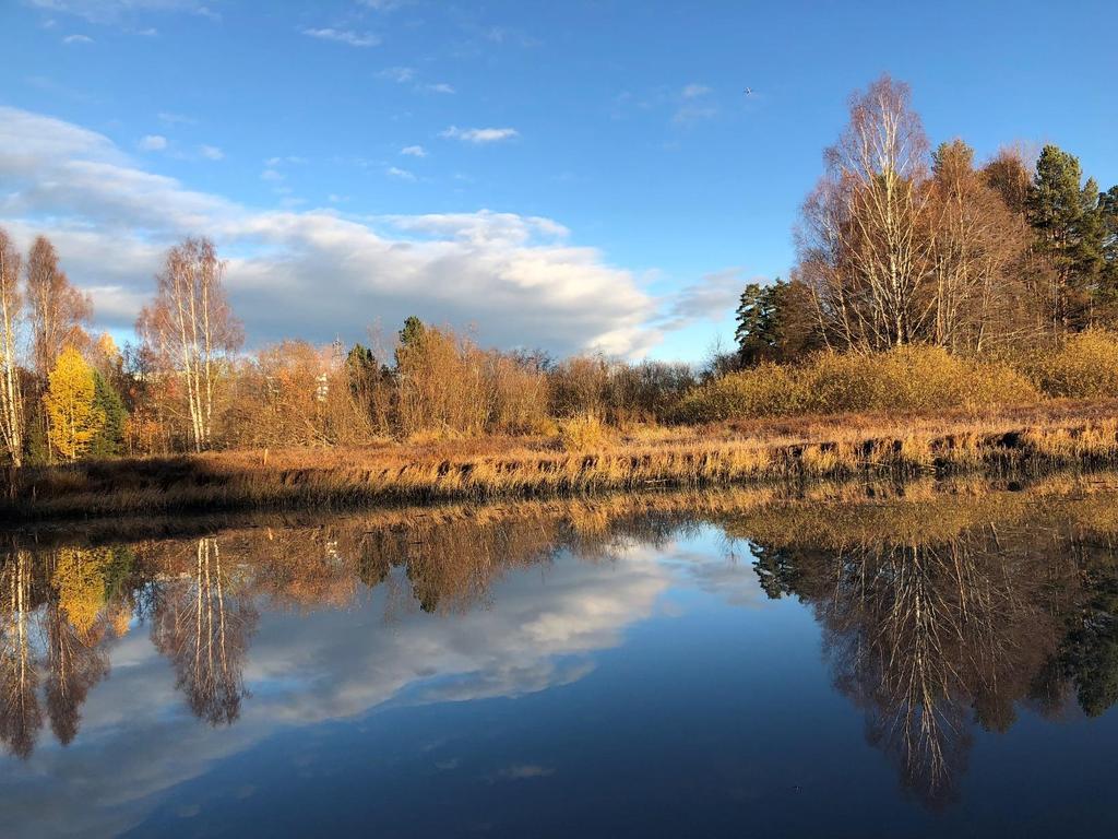 Skedsmo kommune Vannprøvetaking i Nitelva Analyseresultater mars 2019