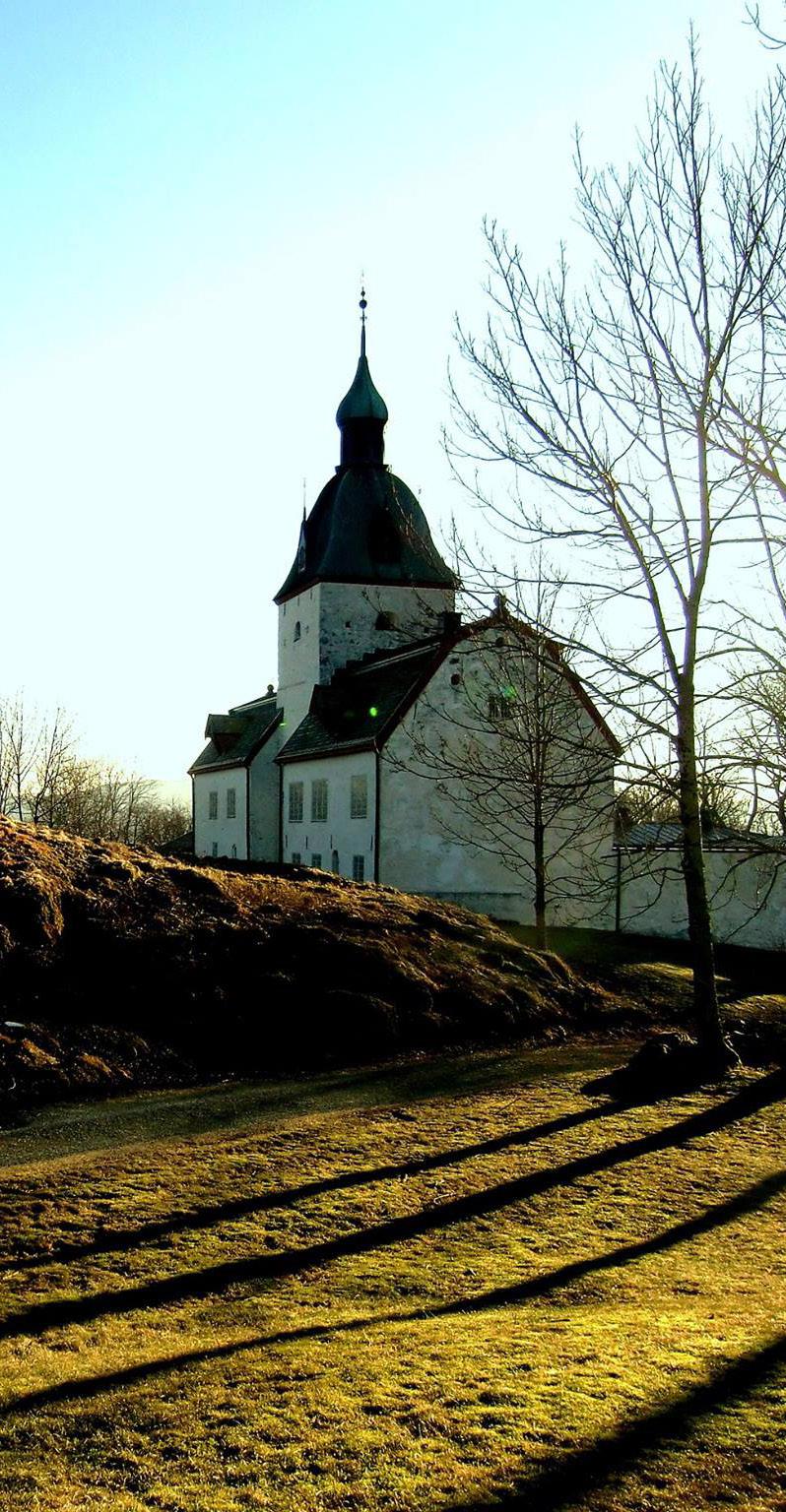 NÆRINGSLIV, LOKAL MAT OG MILJØ Ørland Senterparti går inn for: Offensiv næringsutvikling at Ørland skal være en offensiv næringskommune med kreativ og fremtidsrettet næringslivssatsing med