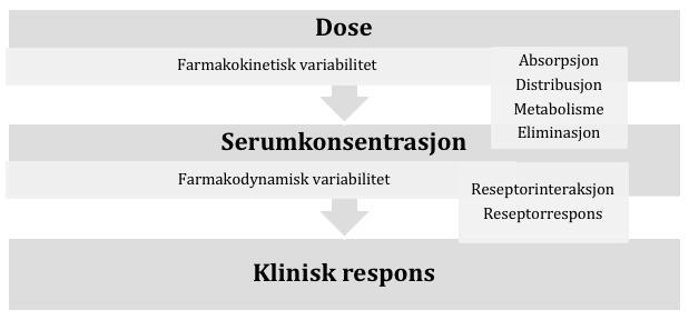 1.3 Farmakologisk variasjon Ulik eksponering av legemidler kan bidra til variasjon i klinisk respons (45).