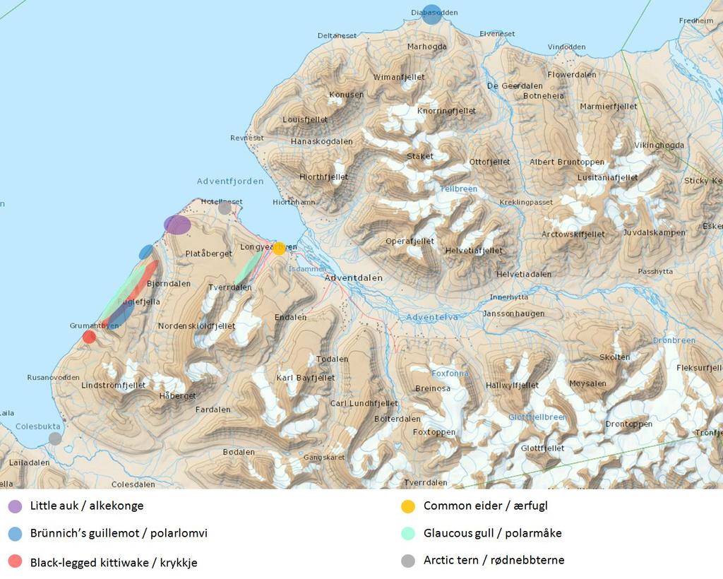 Figur 2. Kart over de viktigste sjøfuglkoloniene mellom Colebukta og Sassendalen, Isfjorden, Svalbard. (Sebastien Deschamps, NP) 4.