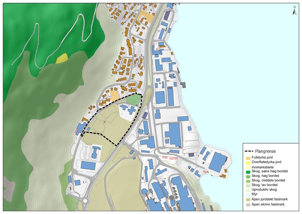 3.1.3 Vegetasjon Det er lite vegetasjon innan for planområdet (Figur 6). Det er klynger med bjørkeskog langs Eitrheimsvegen og ved/mot barnehagen.