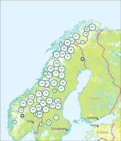 Utfordringer i rovviltarbeidet SNO skal: