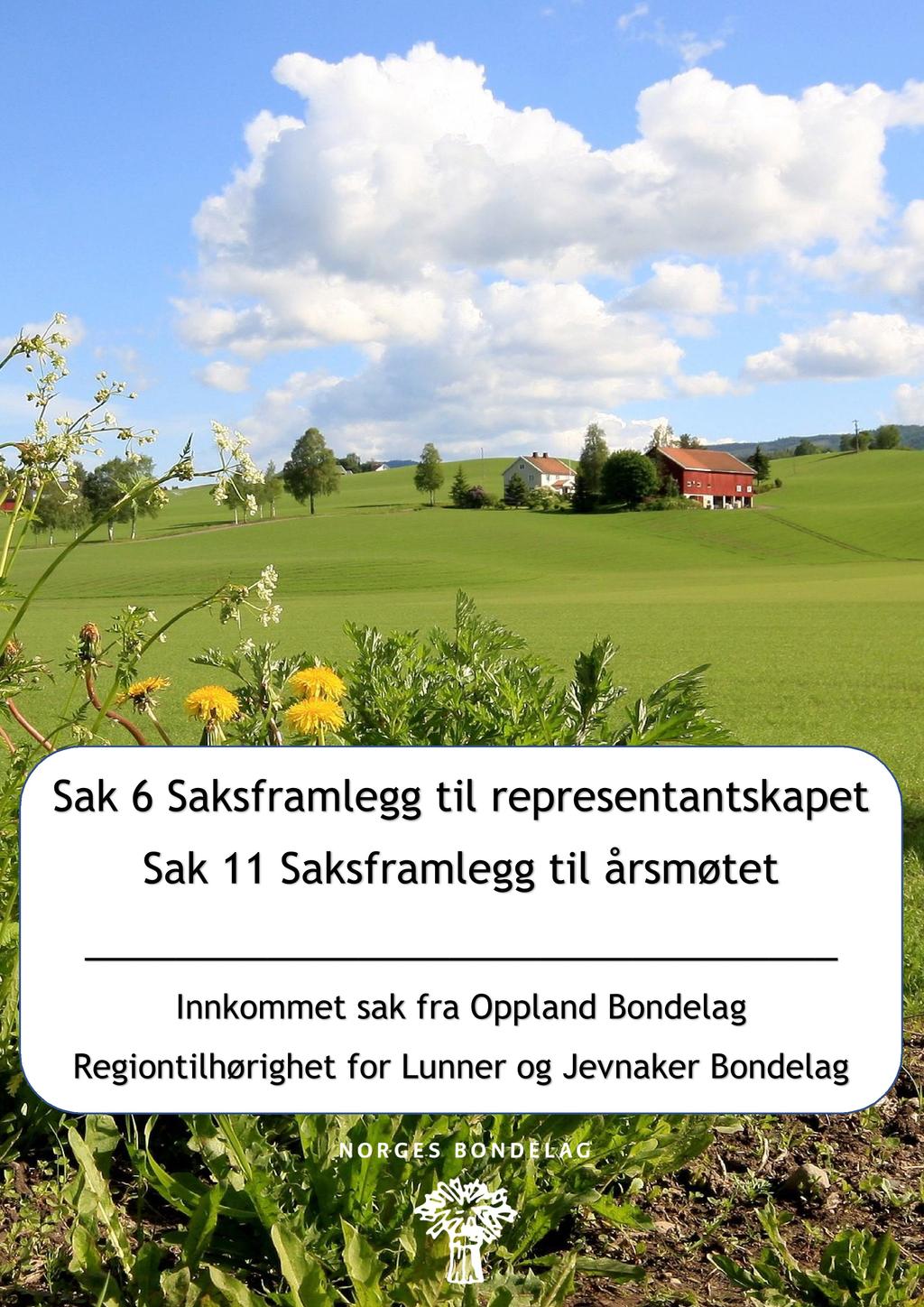 Sak 6 Saksframlegg til representantskapet Sak 11 Saksframlegg til årsmøtet