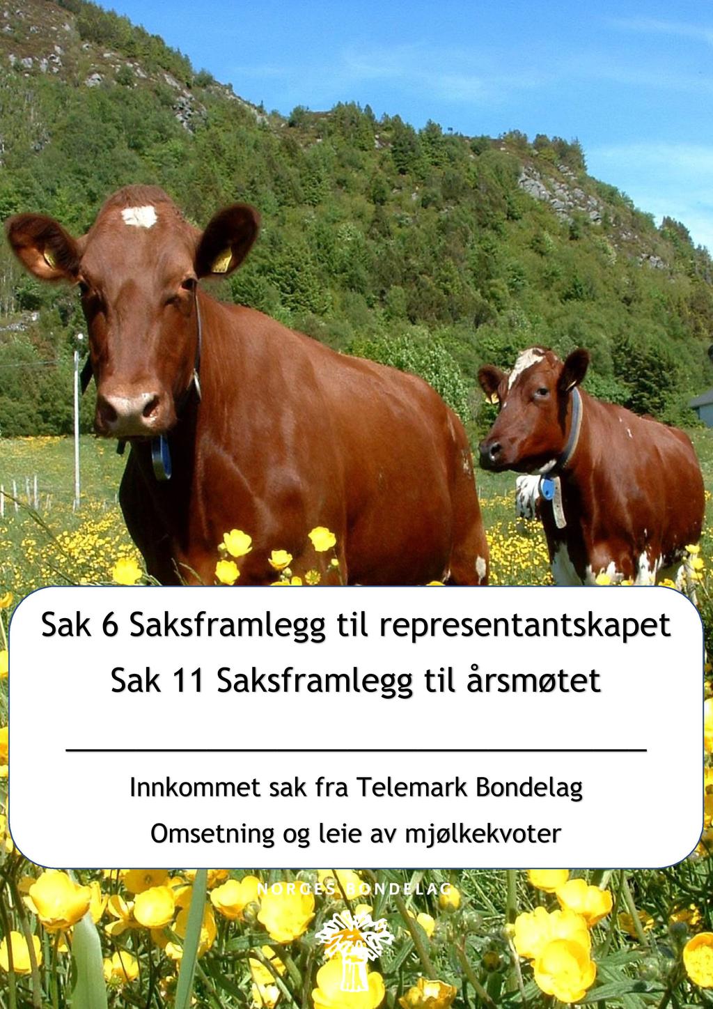 Sak 6 Saksframlegg til representantskapet Sak 11 Saksframlegg til