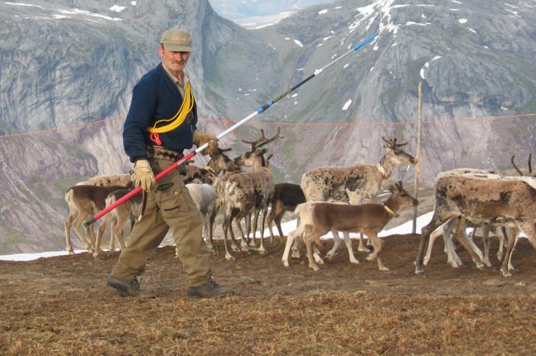 Bakgrunn Norsk tamreindrift har et uutnyttet potensial Reindriftsnæringa står overfor store