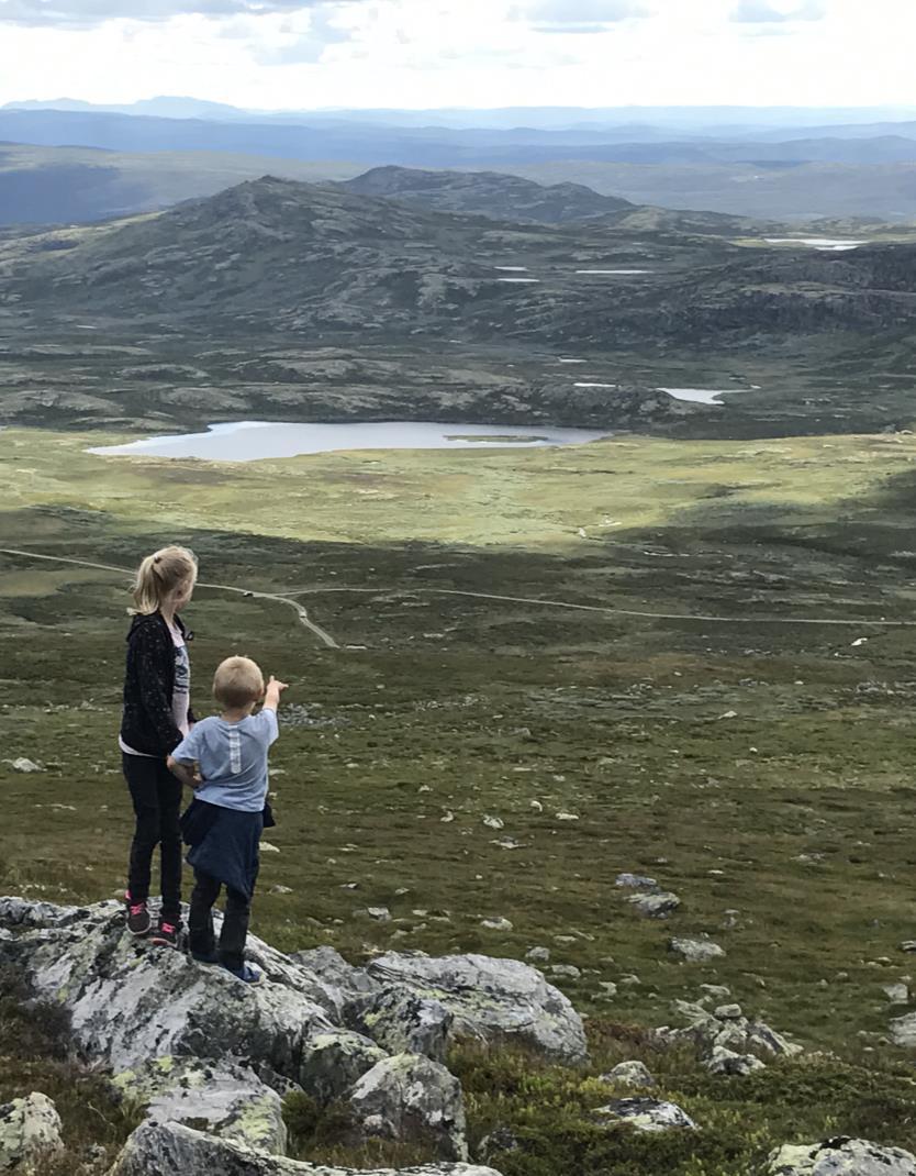 Mål Beskrive praktiske suksesskriterier for å få deltakerne