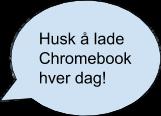 Tanken med dette er at vi kan gi tettere oppfølging til hver enkelt elev. På tirsdag drar hele skolen på tur.