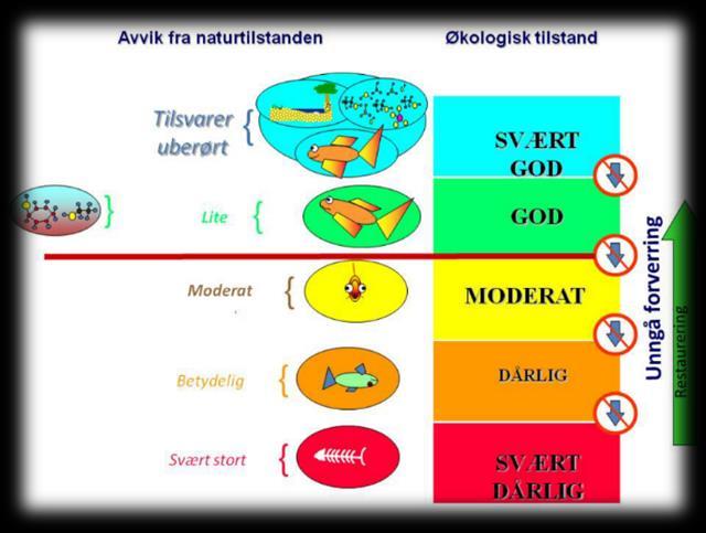 Økologisk og kjemisk tilstand Hva betyr økologisk