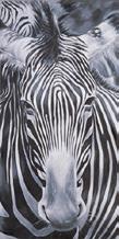 White Zebra, art. nr.