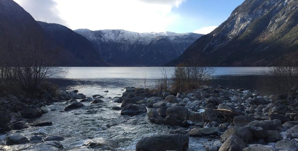 Sunnfjord, med mål å vurdere miljøpåverknaden av forbyggingar og utrettingar i dei utvalde elvene.