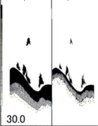 Normalt er at ekkolodd bildet vises i høyre del og Zoom bildet i venstre del. Følgende Zoom bilder kan velges: [BTM] Bunn (Bottom) viser ekko fra bunn og oppover til valgt høyde(skala) [B.