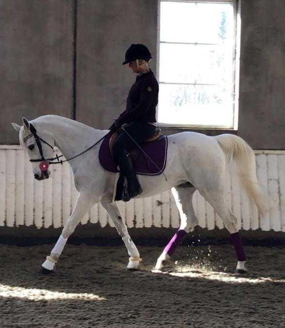 En slik øvelse kan for eksempel være en levade hvor hesten setter bakbeina innunder kroppen slik at de kan ta vekten av framparten og løfte forbena fra bakken.