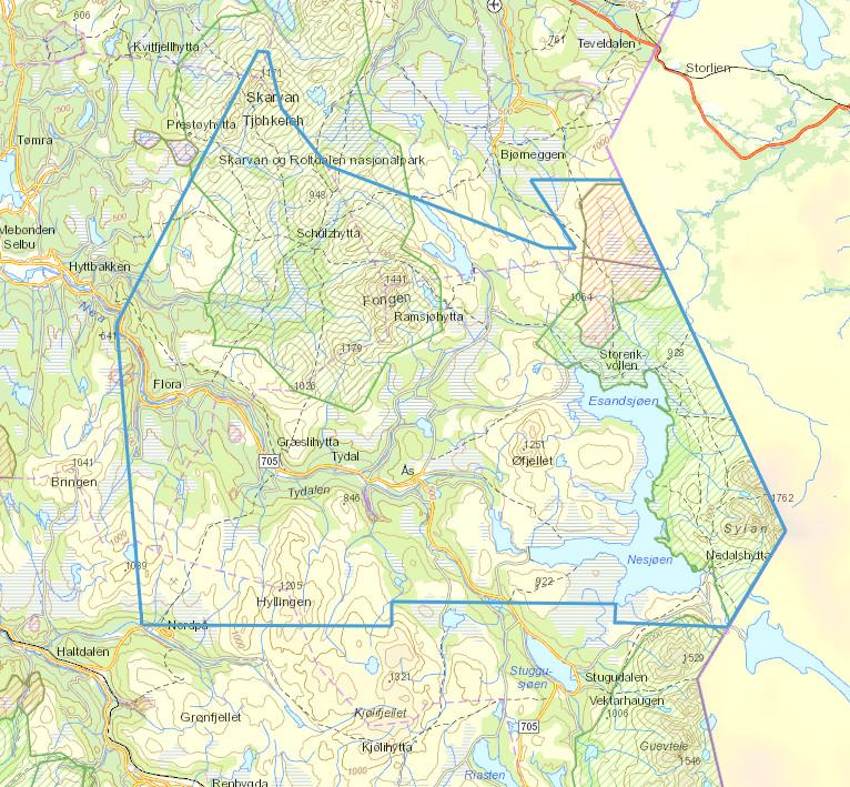 gjennomført i perioden fra 20. mai til 31. oktober 2019.