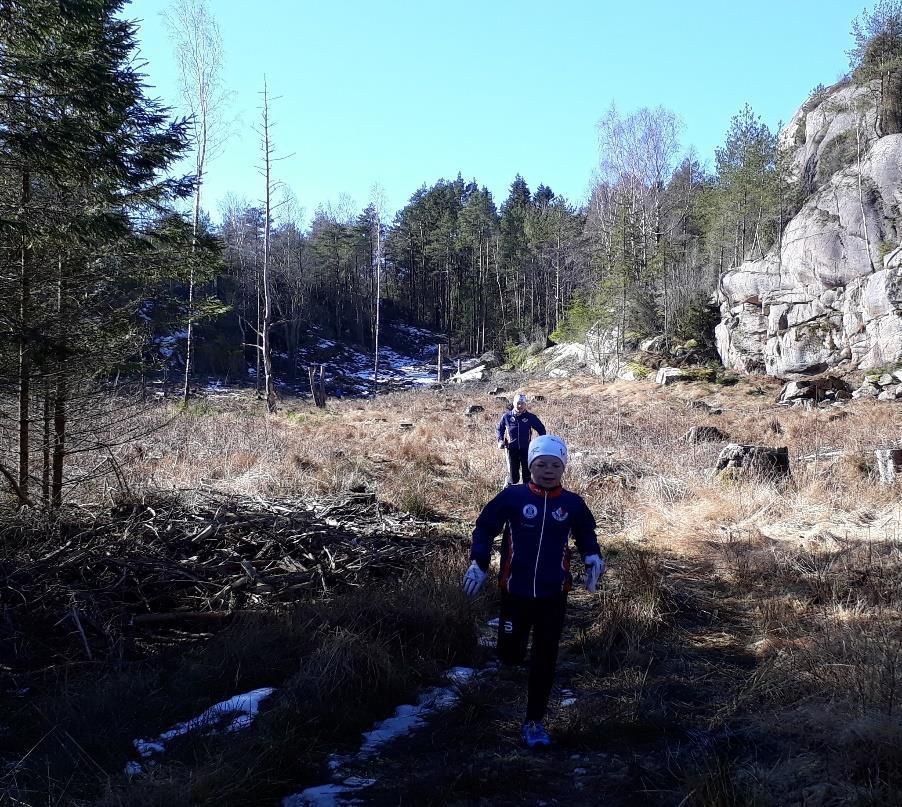 Ansvar for egen utvikling Uorganisert og organisert