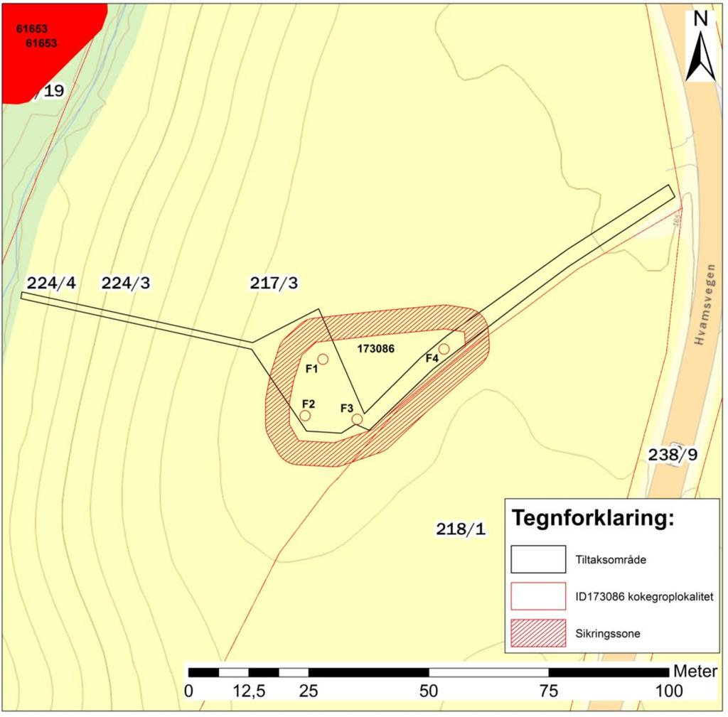 Idnr 173086. Kokegropslokalitet fra jernalder på Berg østre gbnr. 217/3 og Strøm store gbnr. 224/3,4. Lokalitetsbeskrivelse Lokaliteten er ca 550 kvadratmeter stor.