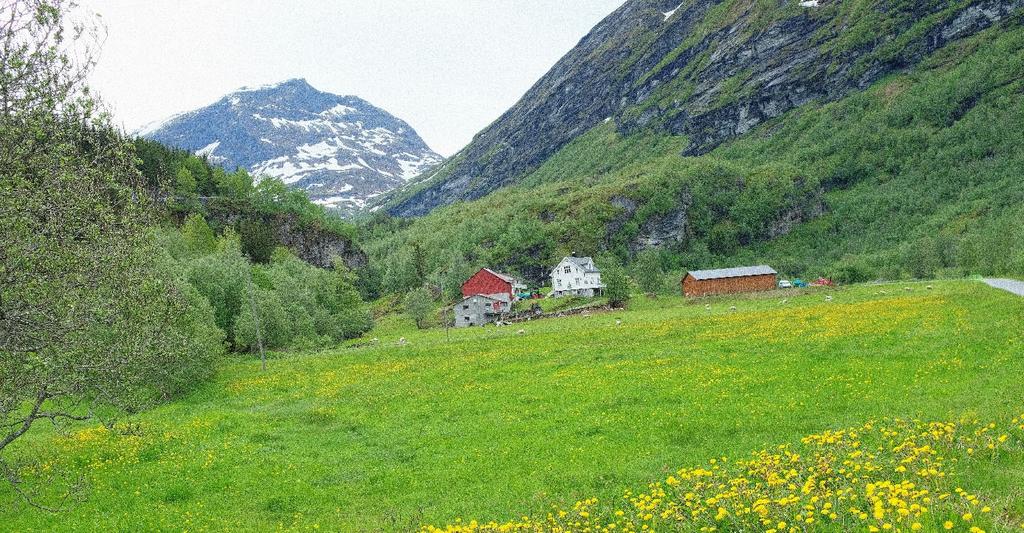 35 prosent av investeringskostnadene, med en øvre grense på to millioner kroner per prosjekt. I Finnmark og Troms er det ikke tak for tilskudd.