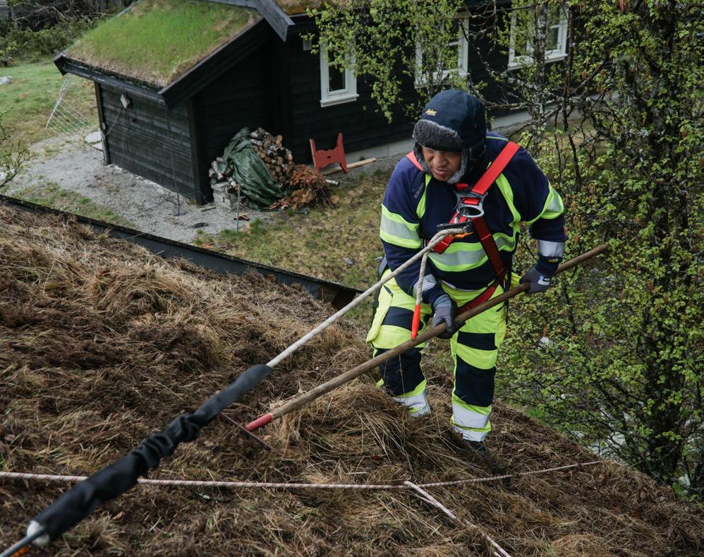 Sigden vi bruker er med tagger, noe som gjør at graset kuttes uten å påføre slitasje på det som blir igjen.