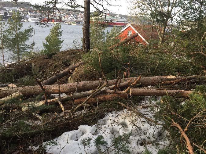 kontor på Langøya.