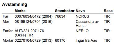 Kalv Tiroler Grauvieh Ørenummer/navn: