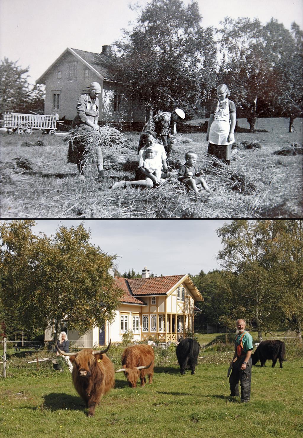 Fra drift via en periode med nedlegging til drift 1940 ca. Forpakterfamilien på Bjerkø gård.