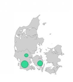 ANSATTE Selskapet har totalt 4900 ansatte, fordelt med nær 4000 i Norge og litt over 900 i den