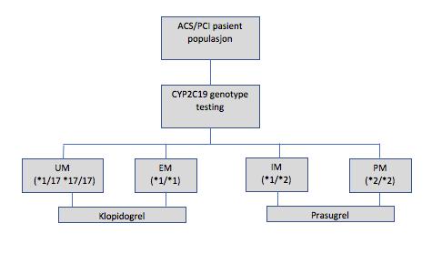 Figur 1 Kliniske valg basert på CYP2C19 genotype hos ACS pasienter med akutt koronarsyndrom som skal behandles med platehemmere.