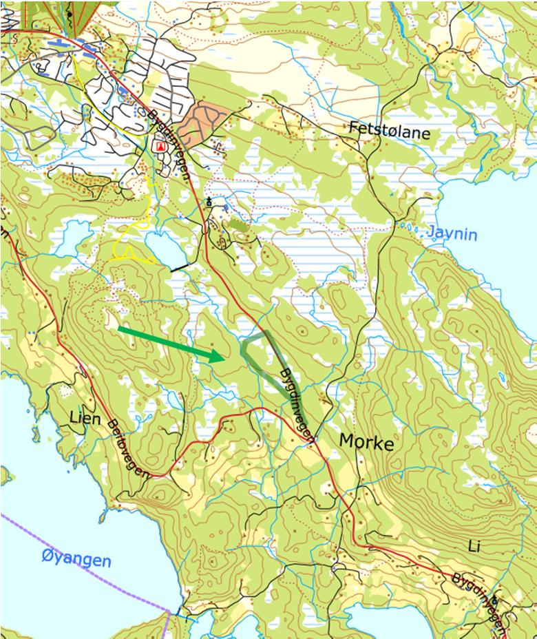 3. Planområdet Fig.1: Planområdet si beliggenheit vist med grønt Planområdet ligg på 750-775 moh. mellom Skammestein og Beitostølen. Området er avgrensa av fv.