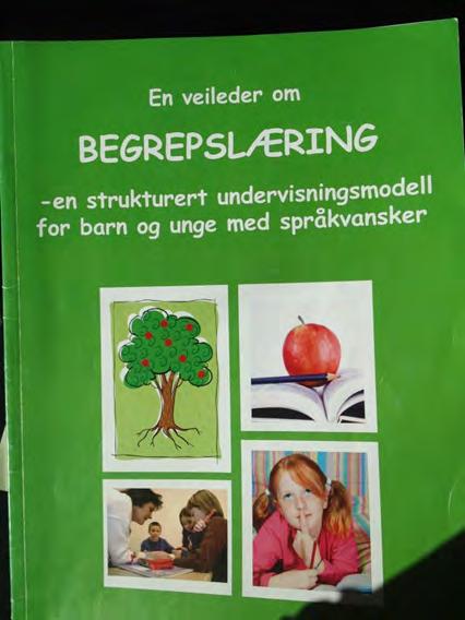 BEGREPSLÆRING, en strukturert undervisningsmodell for barn og unge med språkvansker (O. Sæverud, B.U. Forseth, E. Ottem og F.