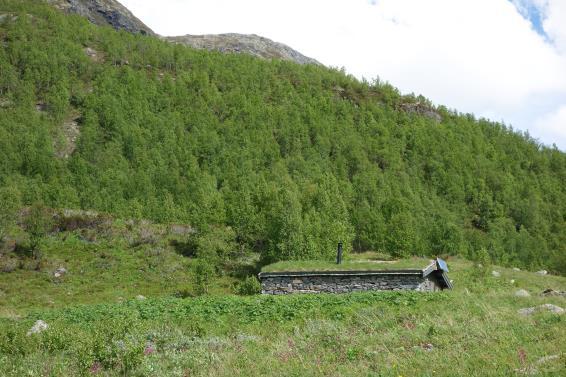 2019 Utladalen LVO - Dispensasjon - 2019 - Relestasjon for tilrettelegging av breiband ved Skogadalsbøen - DNT Oslo og Omegn Innstilling frå forvaltar DNT Oslo og Omegn får med heimel i