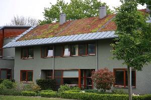 Grønne tak PLAN HÅNDTERING AVLØP Nr. 107 2013 1 FORMÅL Grønne tak er bygningstak med forskjellige former for beplantning i vekstlaget øverst på taket.