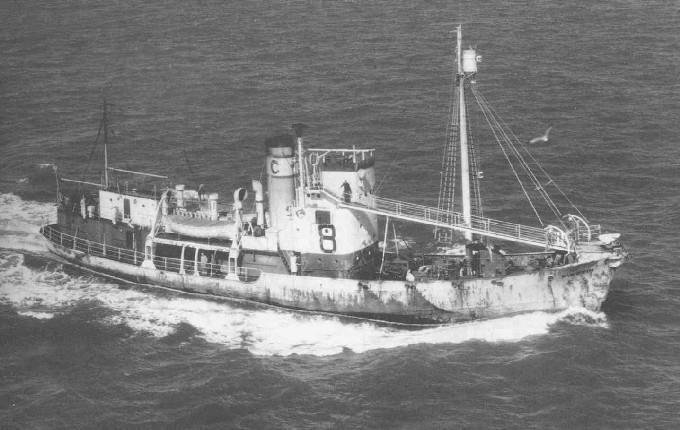 SFJ00219500420001 DS/Hvb PINGVIN. Privat samling 1950 DS/Hvb PINGVIN (SFJ002195004) Type Dampskip, hvalbåt steam ship, whale catcher Off.