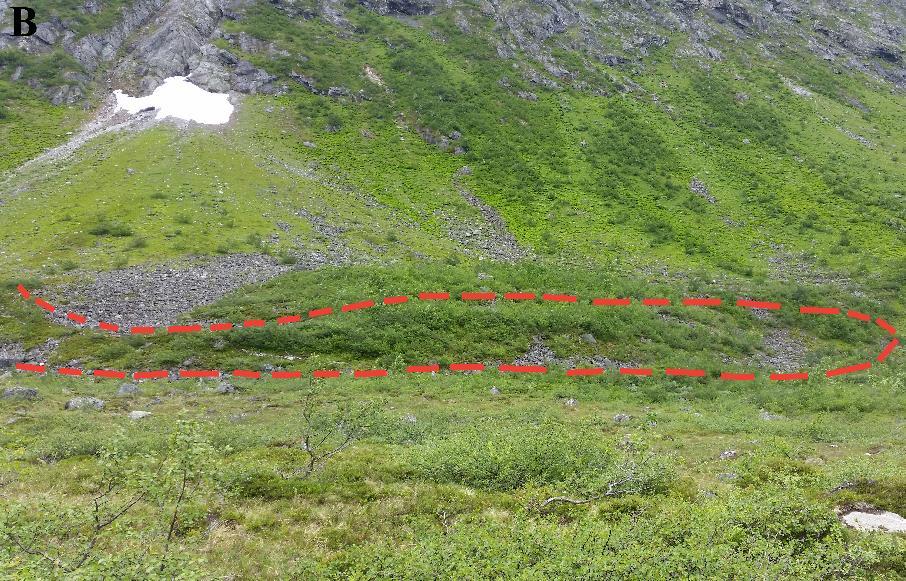 Disse ryggene ligger på østsiden av Berilldalselva i en avstand som varierer mellom 10 20 meter, og følger denne i en generell N S retning men med et svingete mønster. Den nordlige ryggen er ca.