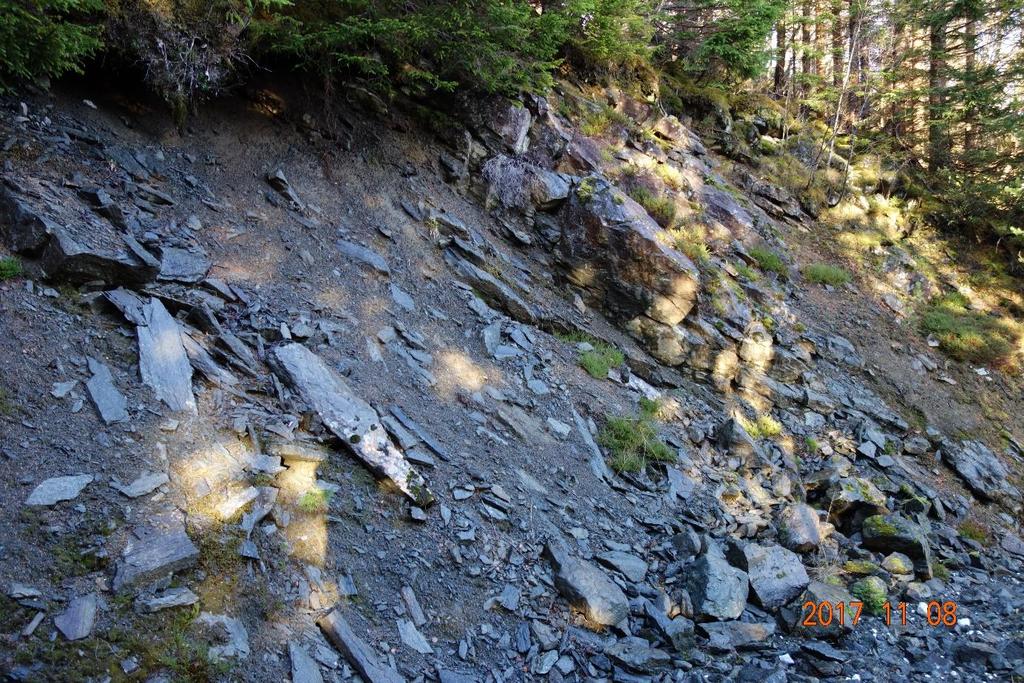 Figur 16: Løsmasser observert i grøftekant langs skogsbilveg. Ser at morenematerialet har høyt innhold av stein.
