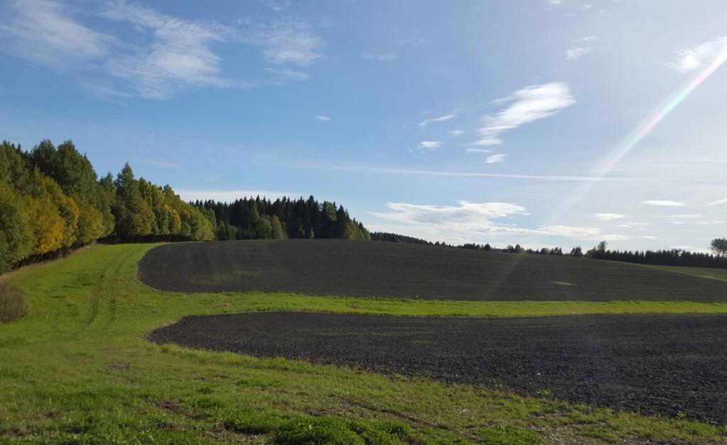 20 RMP Veileder 2019 Grasdekte vannveier og grasstriper i åker ( 23) Det kan gis tilskudd for flerårig grasdekke i dråg på åkerarealer.