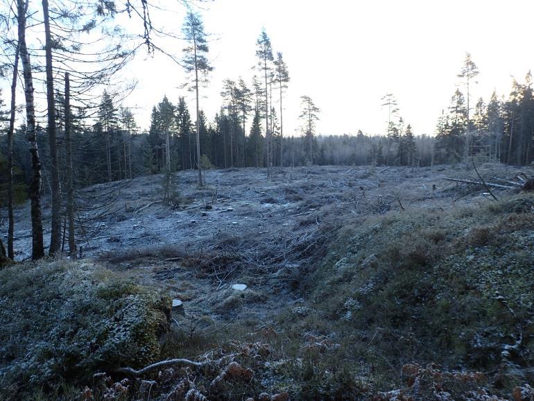 Strukturene ble god dekket til med varmematter og duk frem til de kunne dokumenteres, men sjaktene stod åpne over helgen.