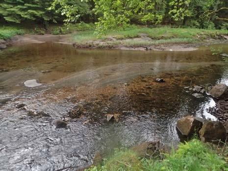 Finsedimentene bidrar til en vesentlig forringelse av gyte- og oppvekstsvilkårene på elvestrekningen.