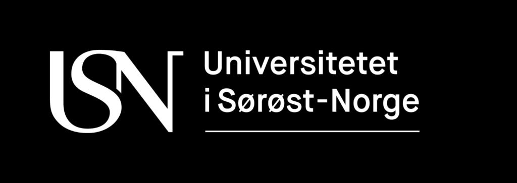 2019-2020 Campus Drammen, Ntdden, Prsgrunn