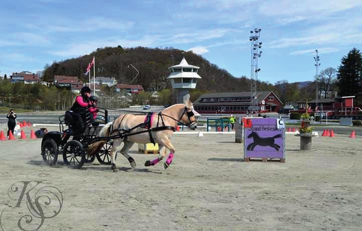 Horpestad AX 02/07-02/2 2660 0 9,0 g 0 0 T. Horpestad ÅM 28/07-07/0 2080 5 5,6a 0 77 T. Horpestad ÅR 02/08-03/2 260 4 5,6 0 9 T. Horpestad Å 5/08-05/3 2640 4 5,5a 0 834 209: 0-0 - -3-4,2a -30.