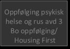 HESO seksjon psykisk helse og rus Psykisk helse og rus Hilde Rosenlund Henvendelser -bolig, psykisk helse og rus Tj. Leder Marita Forstrøm Johansen Oppfølgingstjenester psykisk helse og rus Tj.