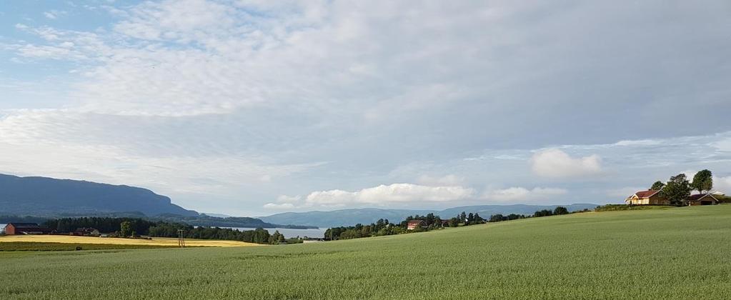 1. LIVSKVALITET OG KULTUR I LOKALSAMFUNNET De Grønne vil skape et samfunn hvor vi har gode liv uten at vi ødelegger for andre.