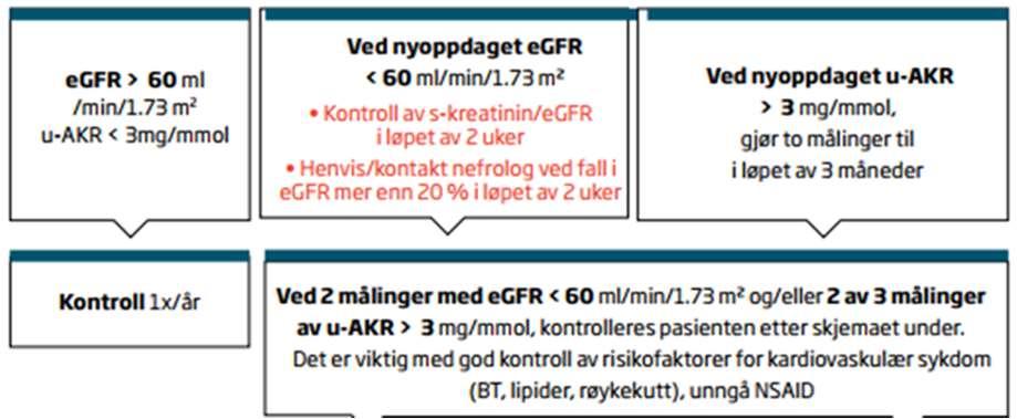 Årlige målinger av egfr og u-akr Antidiabetika ved redusert nyrefunksjon INNVIRKNING PÅ VIKTIGE NYREFUNKSJONSGRENSER (egfr) HEMMERE ANALOGER LEGEMIDLET METFORMIN Økt risiko for laktacidose, kan < 30