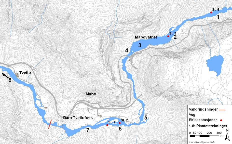 Figur 3. Oversikt over de viktigste lokalitetene for rognplanting (1-8) og stasjoner for elektrisk fiske (St. 1-4) på strekningen ovenfor Tveitofossen i Bjoreio. 2.