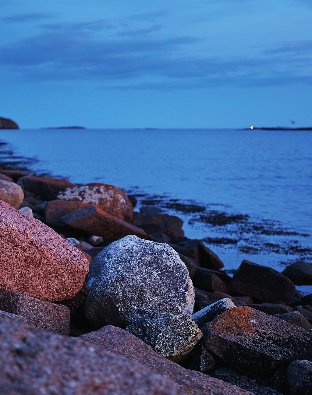 Avdeling Vierskjær